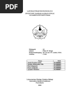 Download LAPORAN PRAKTIKUM EKOLOGI by Dayu Ardiyuda SN44590361 doc pdf