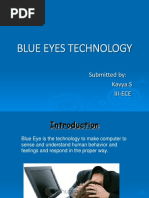 Presentation Blue Eye 1486105313 257582