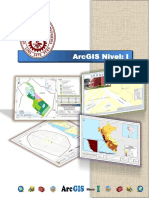 Manual - ArcGIS Nivel I