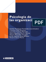 Psicologia de Las Organizaciones