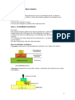 Aula 4 - Piramides Escológicas