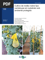 Cultivo de melão nobre tipo cantaloupe em substrato sob ambiente protegido