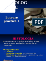 histologie-lp-1 preparate