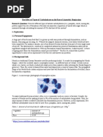 IB Bio IA On Nuruk Fermentation