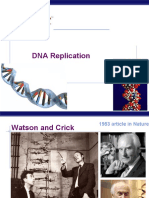 DNA Replication: AP Biology