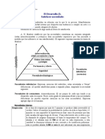 Doc-El Desarrollo y las necesidades