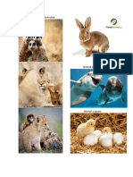 4 imágenes de animales.docx