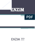 ENZIM