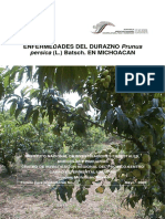 36michoacan DAMASCO.pdf