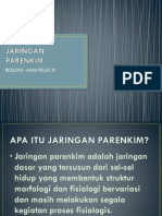 Jaringan Parenkim