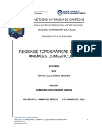 Adrian Diaz - REGIONES TOPOGRAFICAS DE LOS ANIMALES DOMESTICOS - Grupo 4 A
