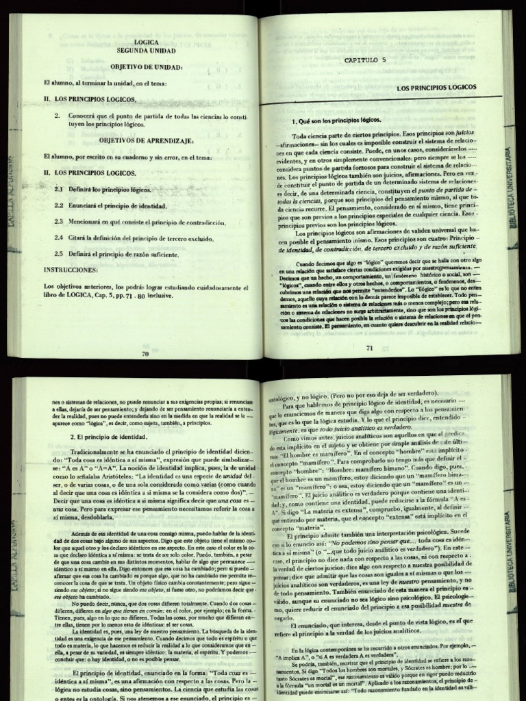 PRINCIPIO DE IDENTIDAD y Logica PDF Verdad Metafísica