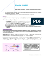 Semanas 1-8 Embriología