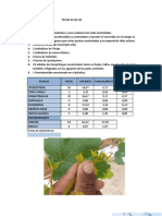 Evaluacion Lote 3 24-01-20