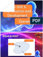 Unit 5: Reproduction and Development Gametes