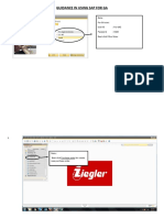 Guidance in Using Sap For Ga