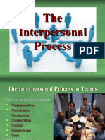 The Interpersonal Process - 1