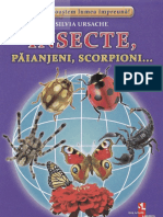 Insecte, Paianjeni, Scorpioni... - Cartonase - Silvia Ursache PDF