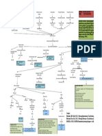 WOC Diabetes Mellitus