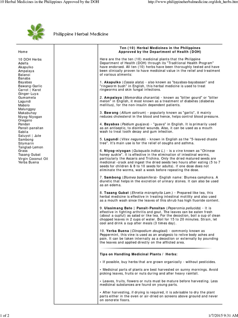 10 Herbal Medicines in The Philippines Approved by The DOH PDF Tea