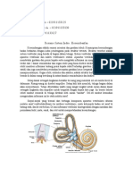Tugas Resume Sistem Indra - Keseimbangan Fix PDF