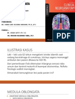 01 - Medulla Oblongata 201019