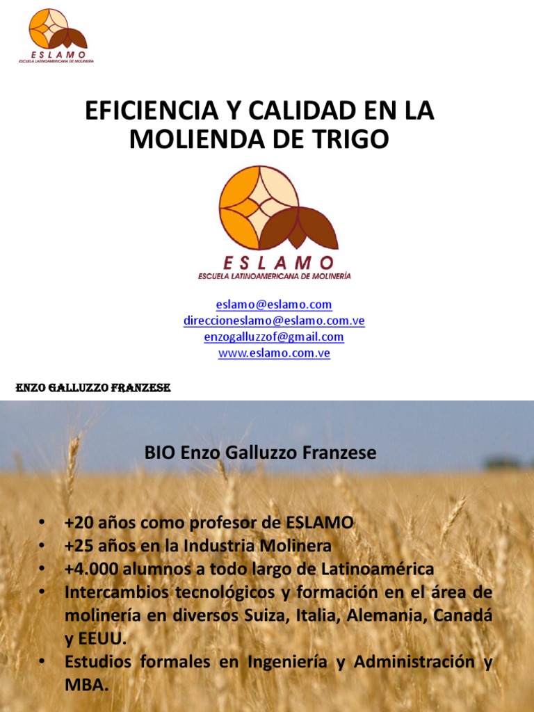 Eficiencia en la Molienda de Trigo | PDF | Trigo | Molino (molienda)