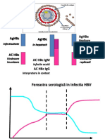 hepatite slide-uri cu scheme