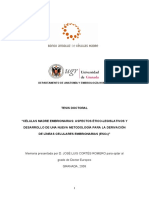 Tesis doctoral sobre celulas madre.pdf