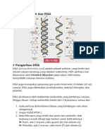 DNA Dan RNA