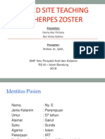 BST Herpes Zooster REV