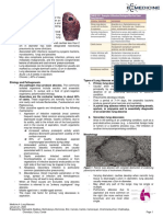 Lung Abscess Handout PDF