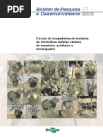 Verticillium em Solanáceas