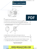 Biology-Worksheet