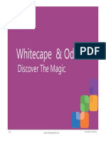 Whitecape Odoo Offreerp 160120111633