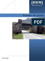 RWM Model Puentespiedra PDF