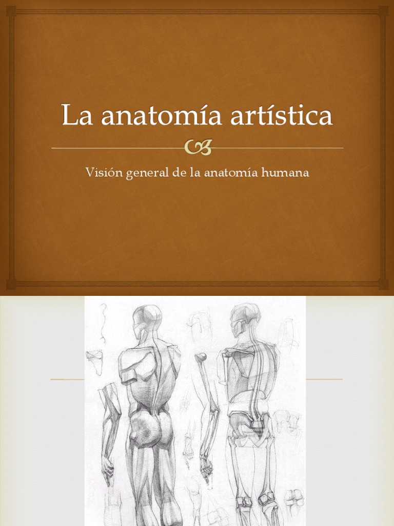 Anatomy visual data 8