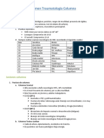 TMT Resumen Columna