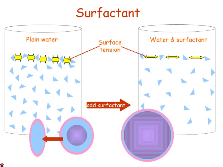 Understanding Surfactants and Surface Tension | PDF