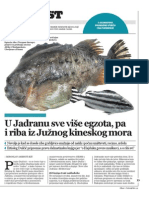 Nove Ribe U Jadranu I Mediteranu - Knjiga Dr. Jakova Dulčića