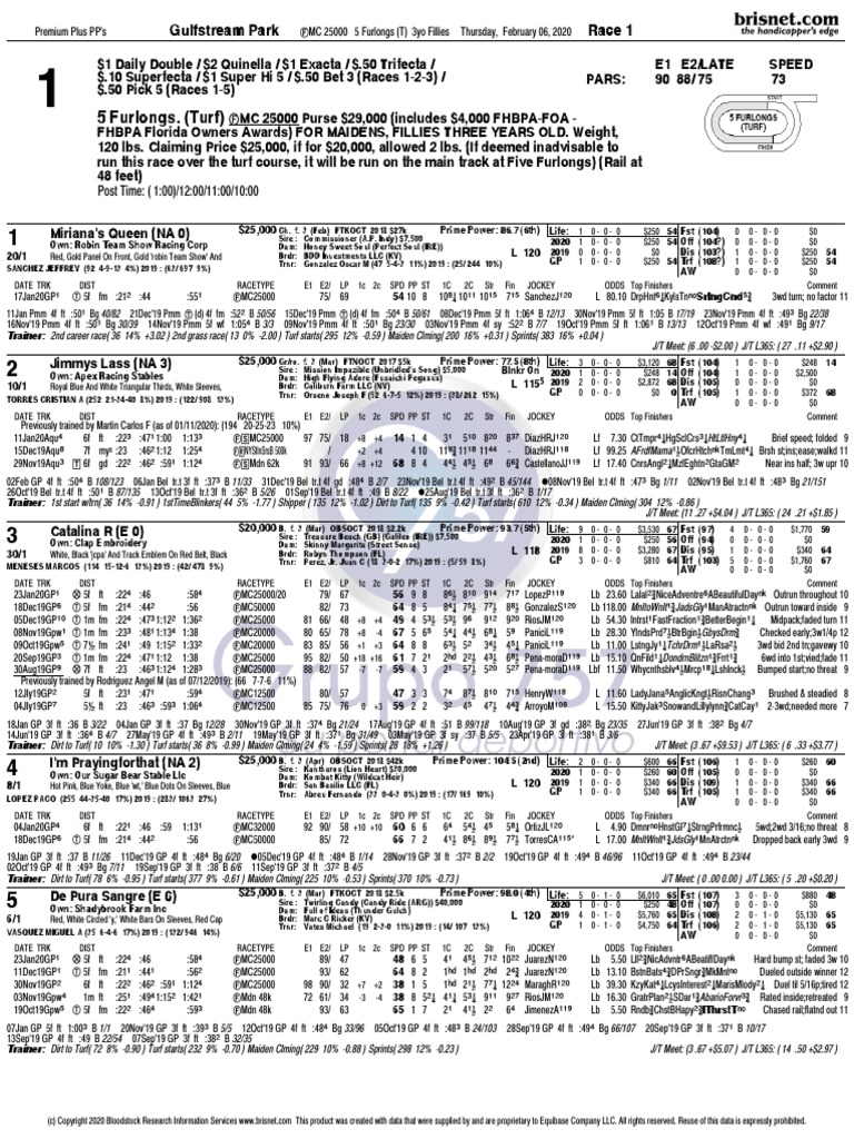 f1580993357000 PDF | PDF | Horse Racing | Animal Racing