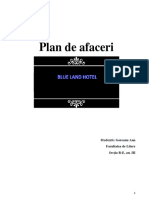 Plan Afaceri PDF de Printat PDF