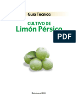 Limon.pdf