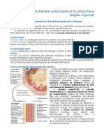 Anatomia Da Parede Abdominal