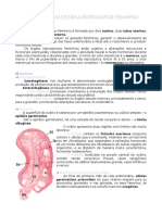 Sistema Reprodutor Feminino - HISTOLOGIA