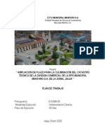 Plan de Trabajo Catastro Comercial PDF