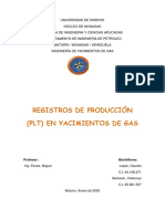 REGISTROS DE PRODUCCIÓN (Orig).docx