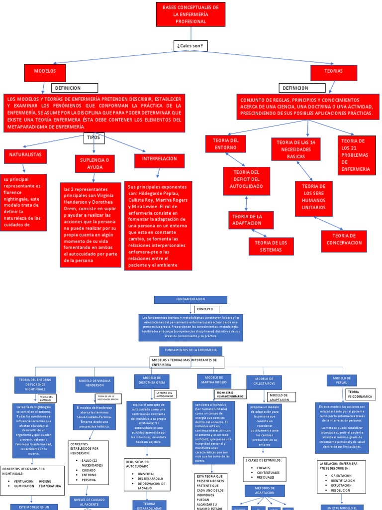 Mapa de Conceptos | PDF | Enfermería | Teoría