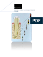 Limpieza y conformacion de conductos radiculares.pdf