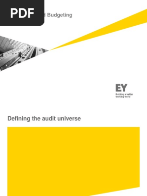 Audit Plan